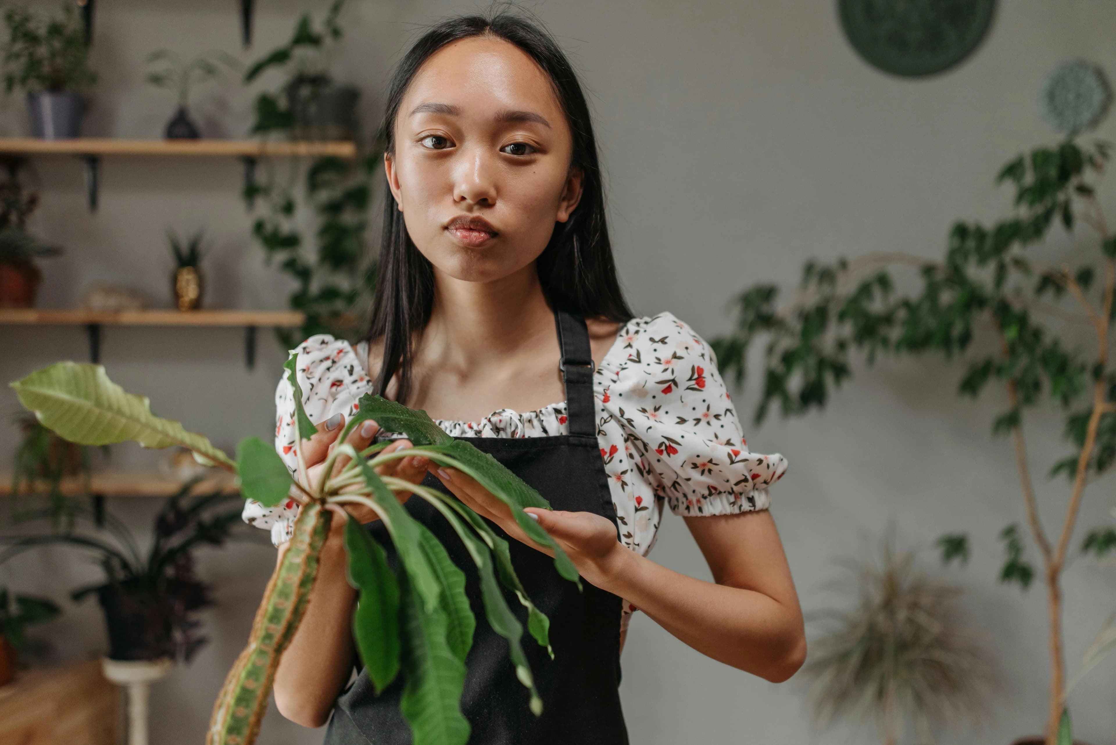 Ivan Levak - Lica Vasse - Drvo radionica u Zagreb