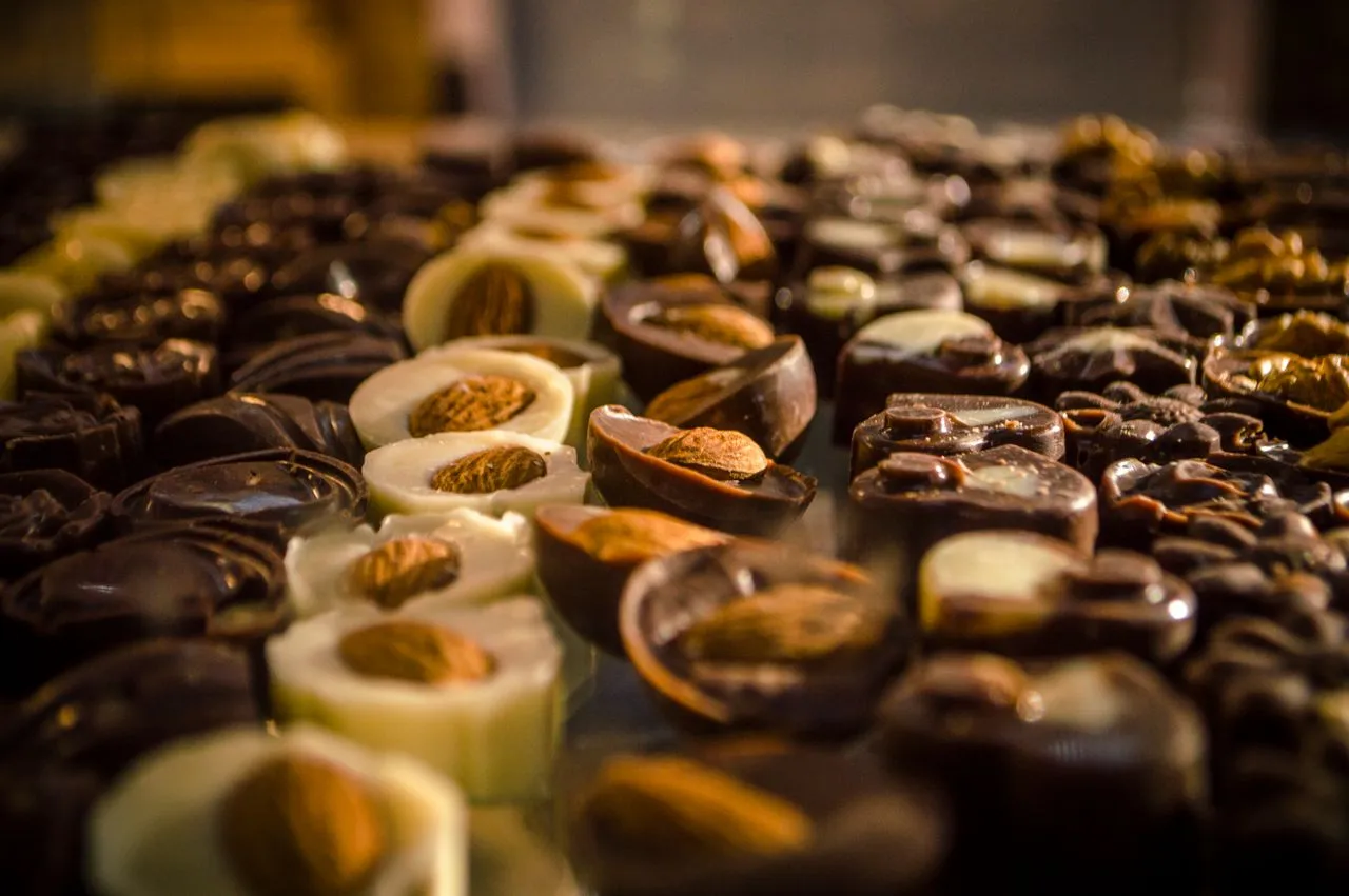 Two-Day Chocolate Workshop - Gastro workshop in Split